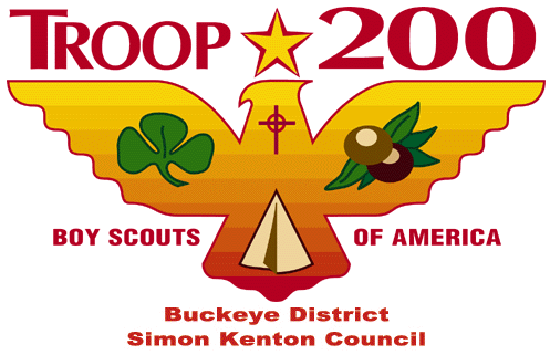 Troop 200 Logo